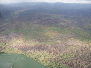 В Хакасии началось авиапатрулирование лесной территории 